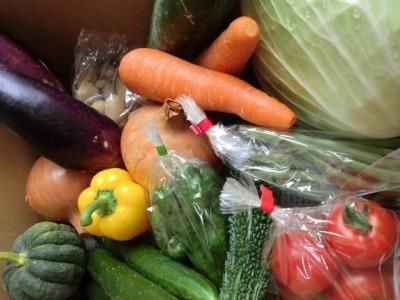 九州産野菜・直送『農薬に頼らない栽培から生まれた清和野菜詰合せ9種類(+1種・計10種)』