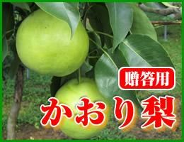 数量限定 10月上旬発送予定 超大玉 かおり梨 贈答用約5kg 約10 14玉 りんご一筋 藤原果樹園 減肥料 減農薬りんご通販 産地直送 秋田県横手市増田町