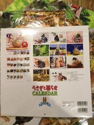 うさぎと暮らす カレンダー 19 うさぎ専門店 バニーファミリー大阪店