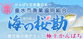「海の桜勘」垂水カンパチオンラインショップ