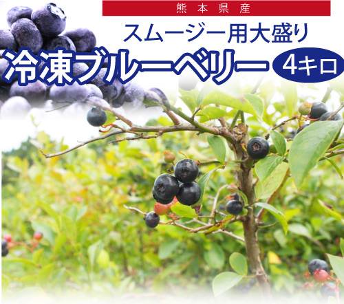 熊本県産スムージー用冷凍ブルーベリー4キロ