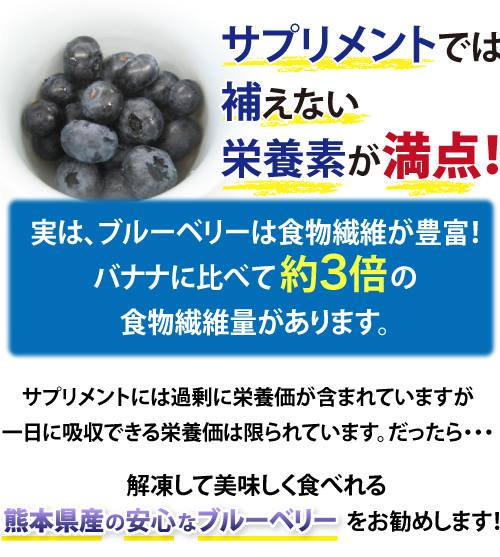 冷凍ブルーベリーにはサプリメントでは補えない栄養素が満点！