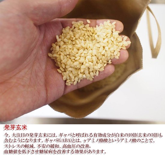 発芽玄米に含まれる有効成分GABA