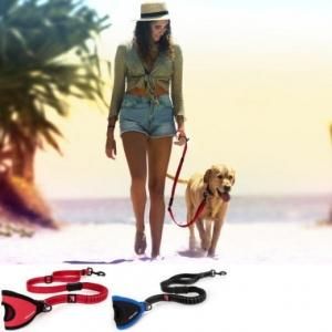 EZYDOG ハンディ ゼロショック リード