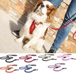 犬 リード 小型犬用 EZYDOG ゼロショックライト 120cm