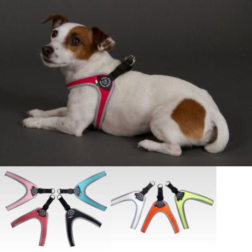 犬 ハーネス 小型犬用 トレ ポンティ Fibbia フィッビア 犬グッズの通販ペットグッズショップmurol