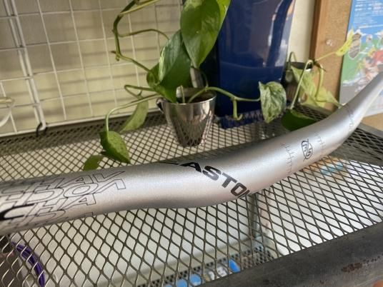 EASTON＊HAVOC35 アルミ DH ライザーバー - スポーツサイクル