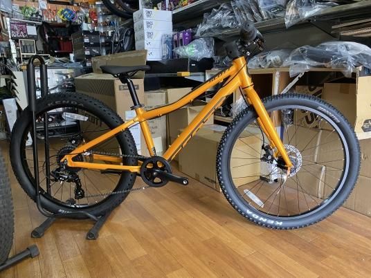 Scott スケール　24インチ　 タイヤ劣化なし Scott スケール 24インチ タイヤ劣化なし Scott スケール 24