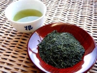 坂本園の静岡茶・川根茶・産地直送、お茶の通販-川根 新茶