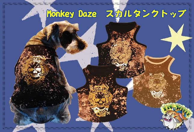 ΥӥåޥMonkey Dazeӥơ᥿륿󥯡