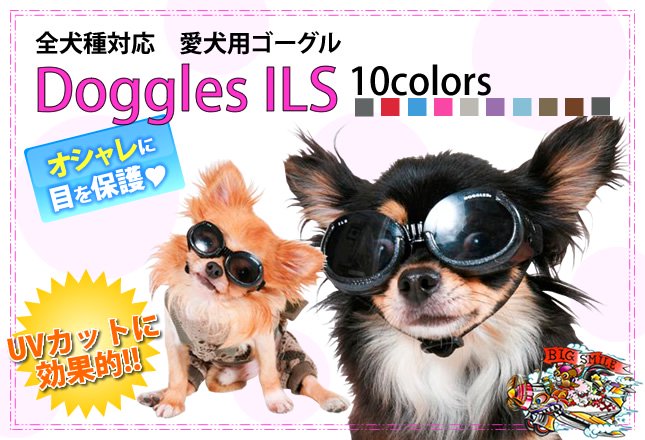 Υӥåޥְѥ UVåȤ˸Ū Doggles ILS