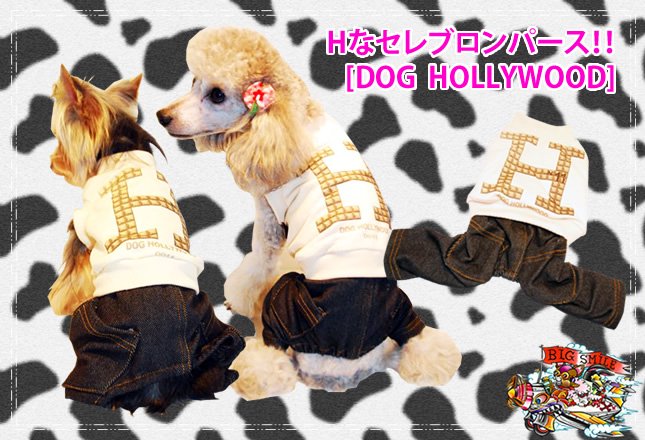 Υӥåޥ[DOG HOLLYWOOD] Hʥ֥ѡ