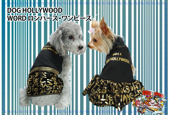 [DOG HOLLYWOOD]WORD ѡԡ