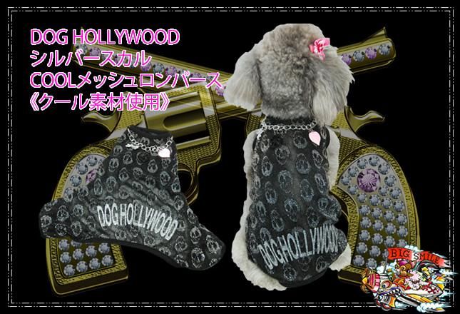 DOG HOLLYWOOD СCOOLåѡԥǺѡ