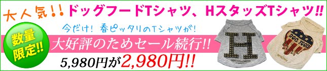 Hスタッズ・ドッグフード　Tシャツ　4000円オフ！