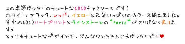 ΥӥåޥCOCO֥꡼ߥ