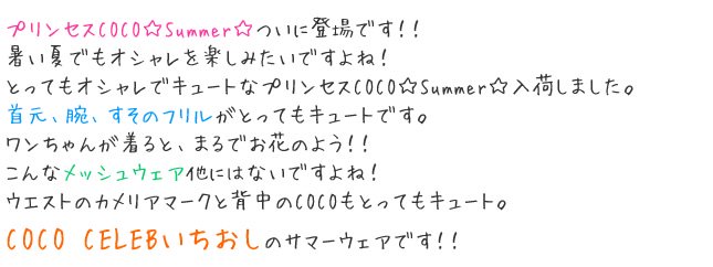 Υӥåޥ֥ץ󥻥COCOSummer