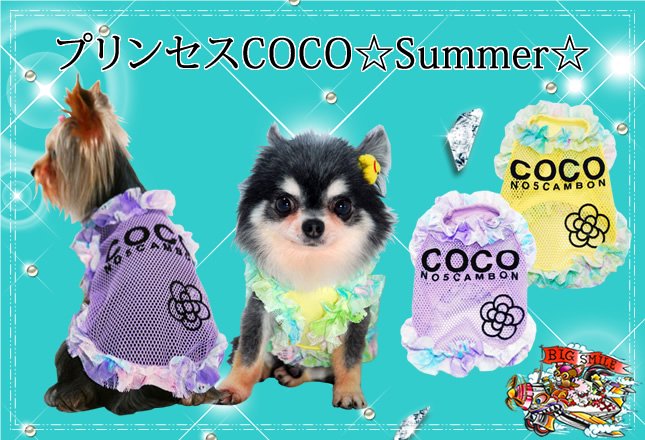 Υӥåޥ֥ץ󥻥COCOSummer