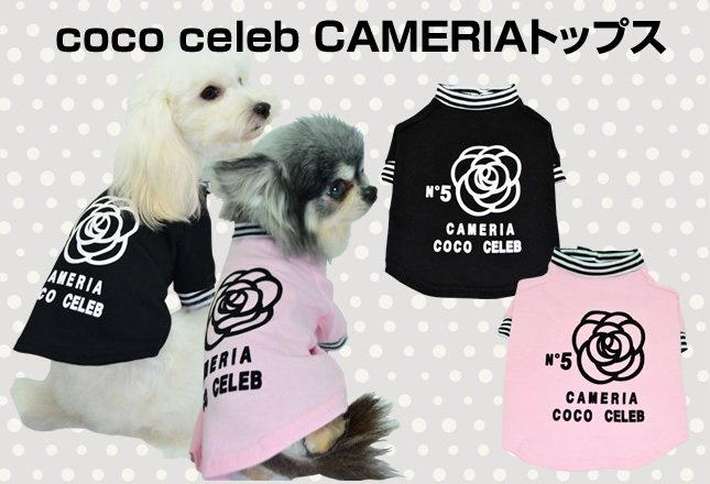 coco celeb CAMERIAȥåץ