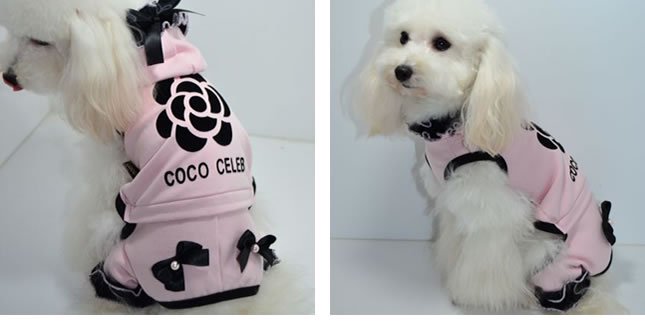 coco celeb CAMERIAץ󥻥ѡ