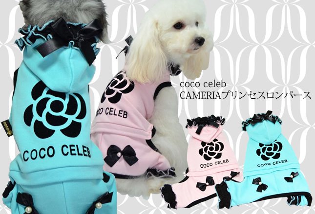 coco celeb CAMERIAץ󥻥ѡ