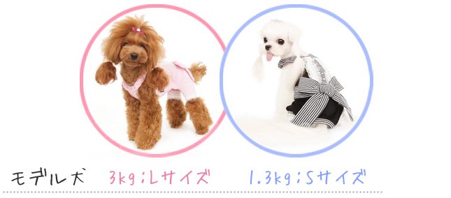 ΥӥåޥFresh Step Overall[puppy angel]