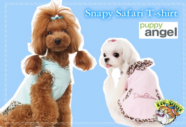 ΥӥåޥSnapy Safari T-shirt[puppy angel]