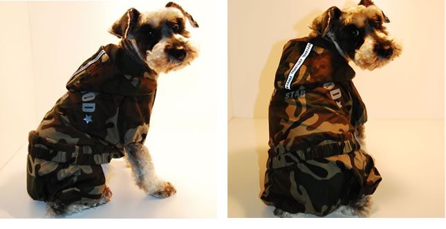 ΥӥåޥHollywood All-in-one Raincoat[puppy angel]