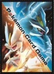 ポケモンカードゲーム デッキシールド ブラックキュレム ホワイトキュレム 遊戯王 Mtg トレカ通販 カードショップ若院