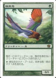 大人気販売中 MTG 極楽鳥/Birds of Paradise 葡語版黒枠