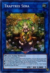 遊戯王 英語版  セラの蟲惑魔 シークレットレア　 BLHR-EN049  3枚