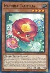 英語版 遊戯王 ナチュル・カメリア 枠ズレ ミスカット エラーカード 英語版 遊戯王 ナチュル・カメリア 枠ズレ ミスカット エラー