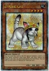 もらって 嬉しい お歳暮 ランキング 絵違い (クォーターセンチュリー レスキューキャット 遊戯王OCG デュエルモンスターズ