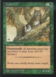 オオヤマネコ Lynx C 遊戯王 Mtg トレカ通販 カードショップ若院