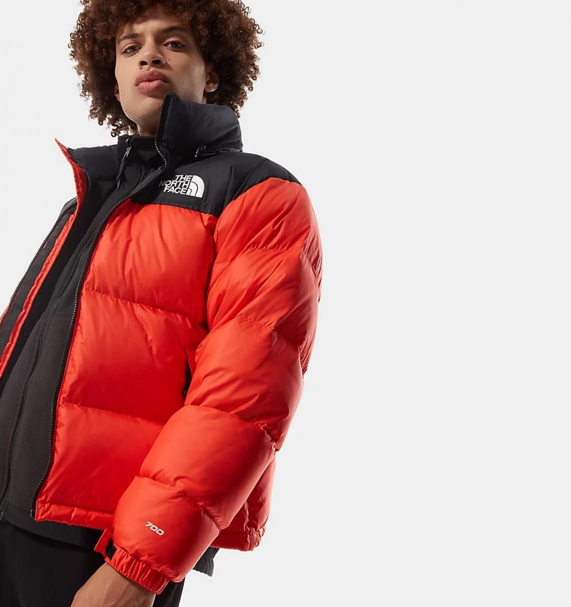 海外THE NORTH FACE 1996 Retro Nuptse 700 L