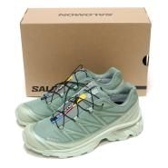 SALOMON XT-6 GTX DESERT SAGE/LILY PAD/LAUREL WREATH
