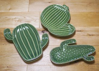 Cactus Plate（カクタスプレート）