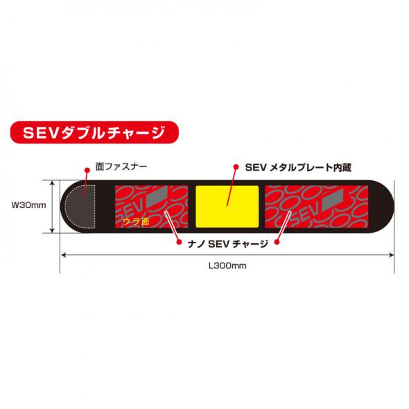 SEV HPベルト スポーツ 【SEV HP Belt Sports】 - iwamatsu