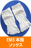 冷え性対策　EM繊維 5本指靴下レッグウォーマー