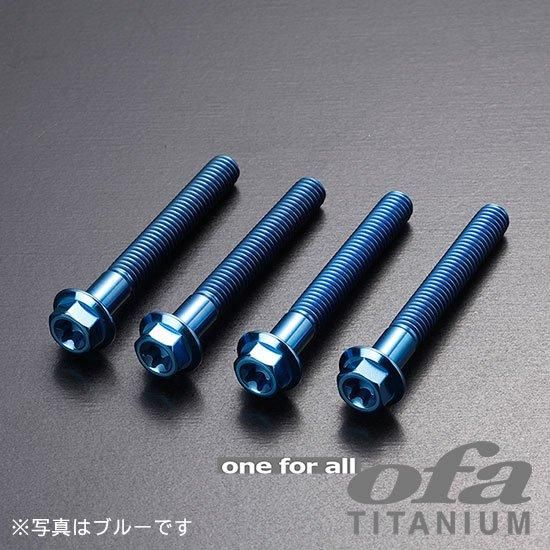 カラーチタン合金（6AL-4V)フランジ六角トルクス穴低頭ボルト
