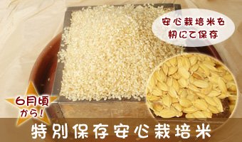 特別保存安心栽培米…安心栽培を籾にて保存しています。籾での保存ですから、お米が生きています。6月頃から出荷します。