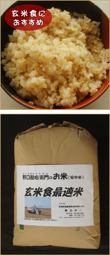 玄米食最適米（ミルキークイーン）10kg