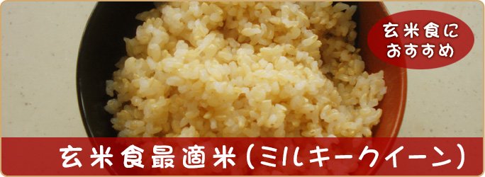 玄米食最適米（ミルキークイーン）10kg
