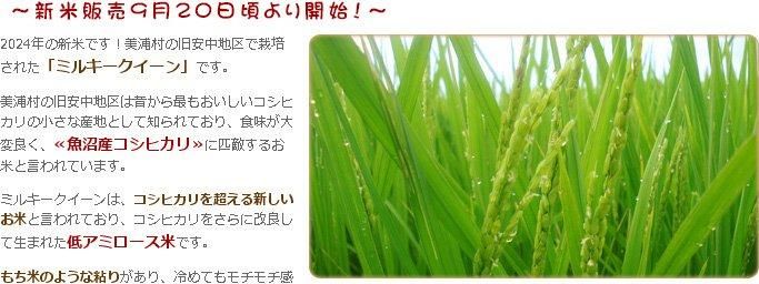 発芽玄米ごはん180g×10個
