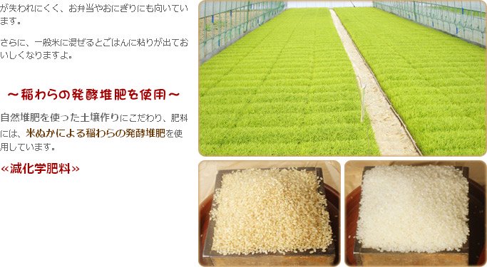 7589円 注文後の変更キャンセル返品 野口勘右衛門のお米 玄米食最適米 ミルキークイーン 玄米10kg