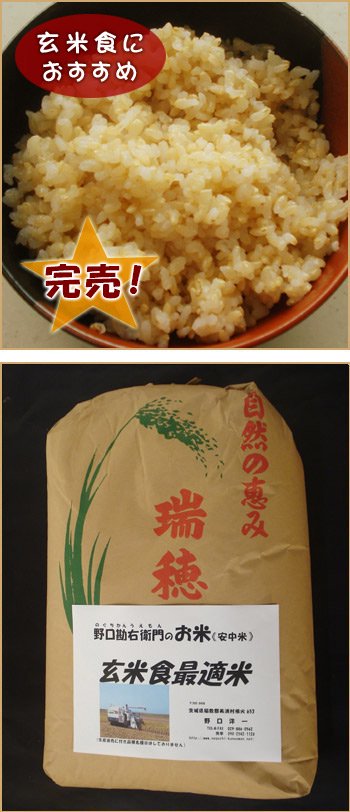 玄米食最適米（ミルキークイーン）30kg - 野口勘右衛門のお米 - 茨城