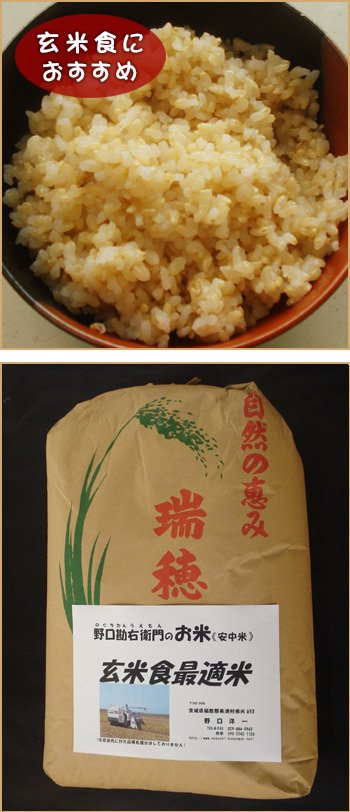 玄米食最適米（ミルキークイーン）30kg