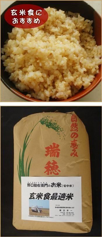 ƿŬơʥߥ륭30kg