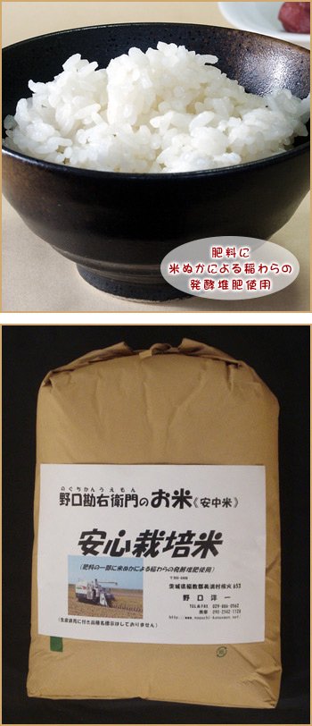 安心栽培米（コシヒカリ）10kg