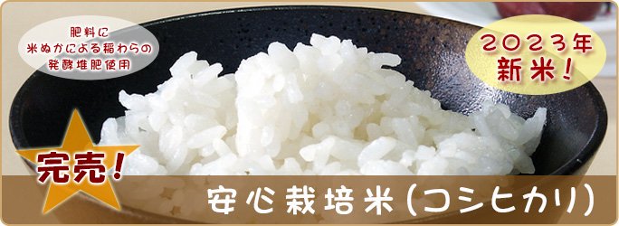 安心栽培米（コシヒカリ）30kg - 野口勘右衛門のお米 - 茨城コシヒカリ 
